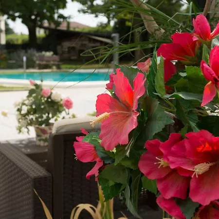 ベッド・アンド・ブレックファスト Berrettini Marano Vicentino