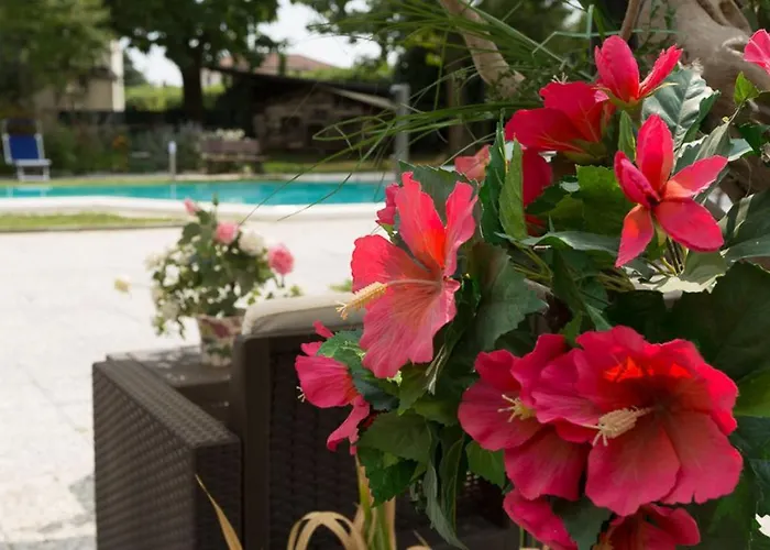 住宿加早餐酒店 Berrettini Marano Vicentino